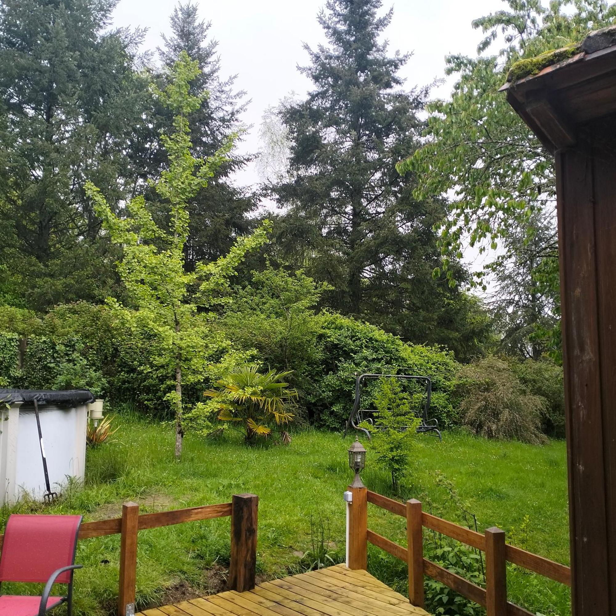 Chambres D'Hotes D'Antardieu Saint-Junien Kültér fotó